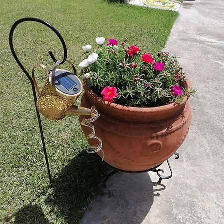 Αξέχαστη Διαμονή - Unforgettable Accommodation Nea Kallikrateia Exterior foto