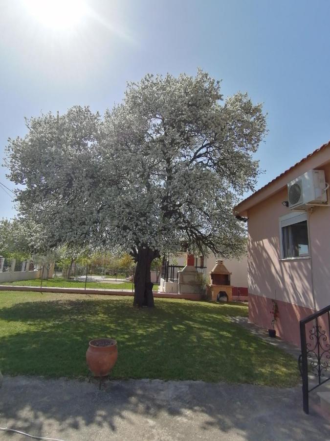 Αξέχαστη Διαμονή - Unforgettable Accommodation Nea Kallikrateia Exterior foto
